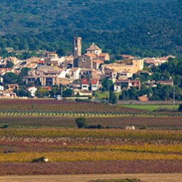 Garriguella Empordà wine cooperative